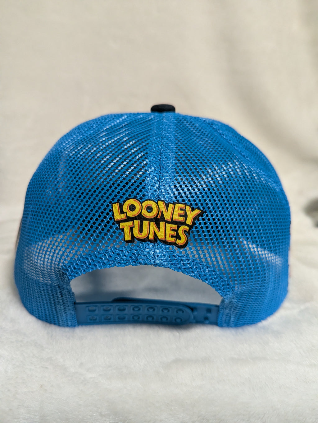 Gorra visera curva diseño MLB Tampa Blue Rays animado