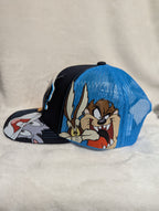 Gorra visera curva diseño MLB Tampa Blue Rays animado