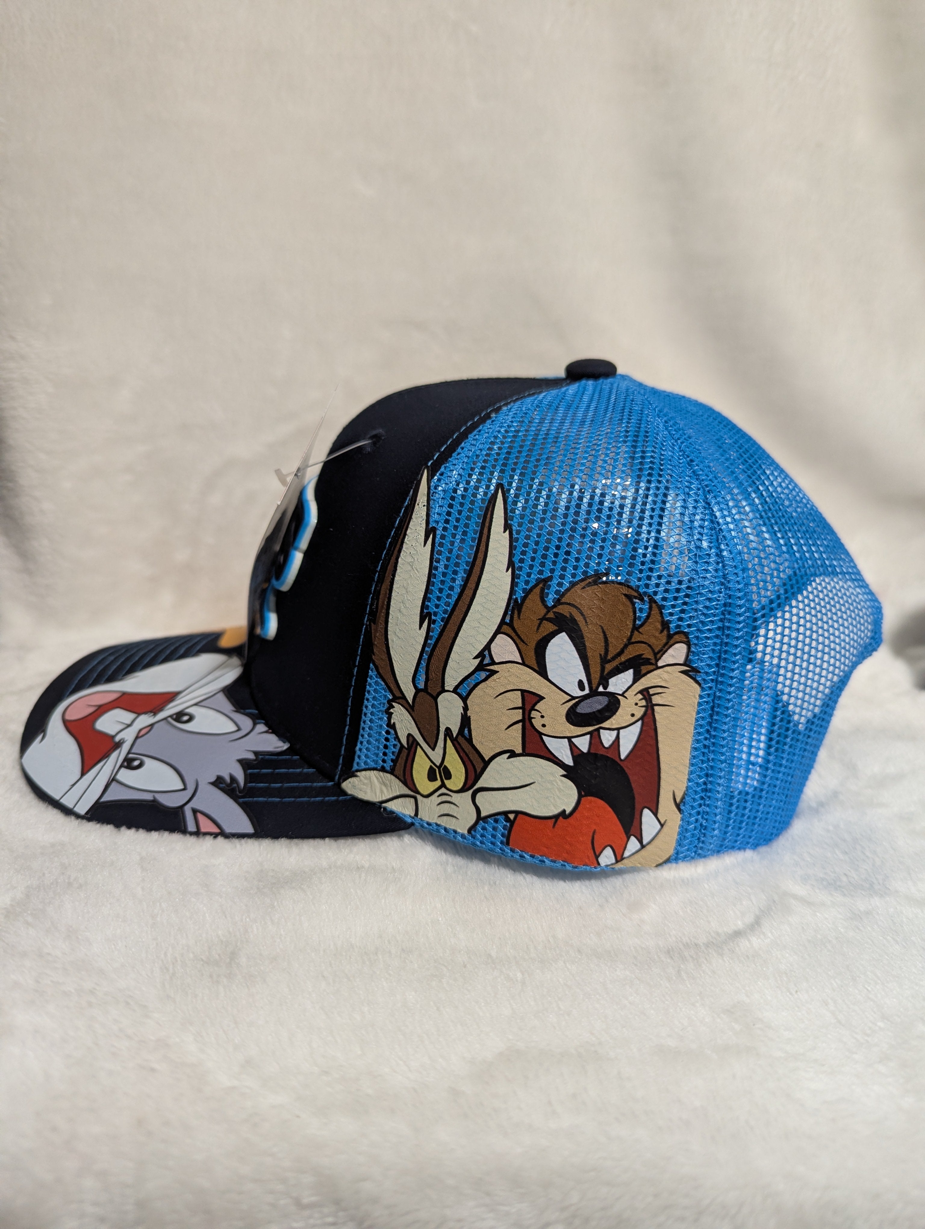 Gorra visera curva diseño MLB Tampa Blue Rays animado