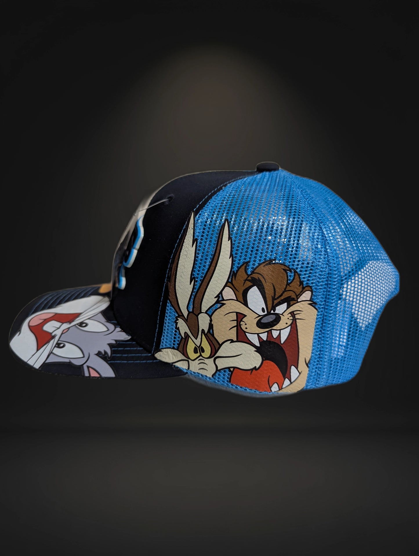 Gorra Tampa Bay Rays | MLB Diseño Animado | Visera Curva Snapback