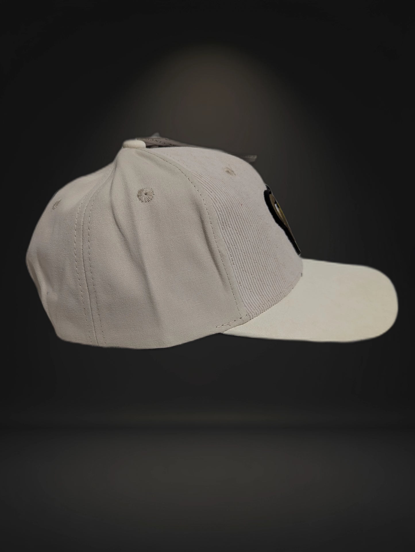 Gorra Oso Bélico | Diseño Animado Exclusivo | Visera Curva Snapback