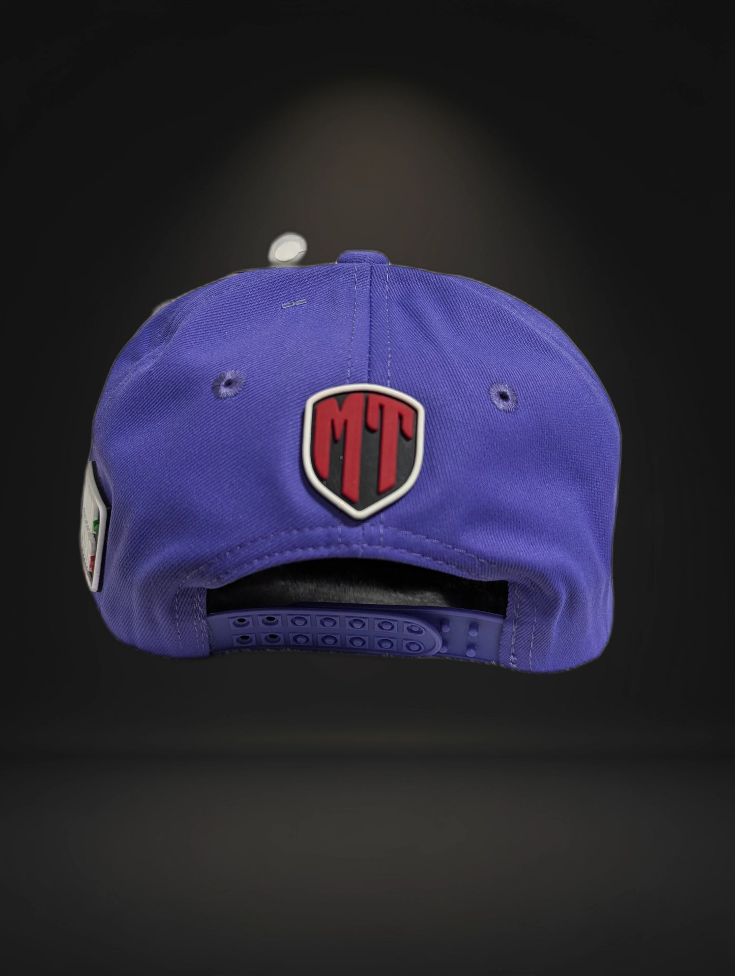 Gorra Oso Bélico | Diseño Animado Exclusivo | Visera Curva Snapback