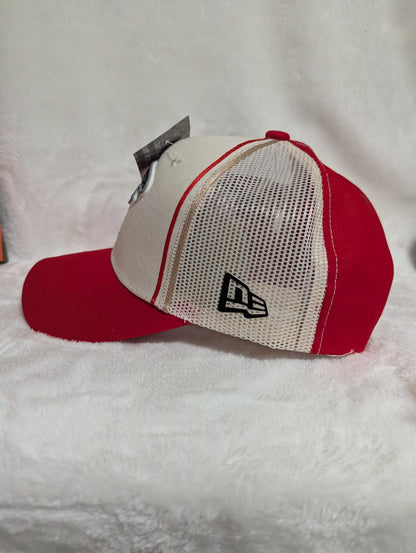 Gorra Atlanta Falcons | NFL Clásico | Visera Curva Snapback