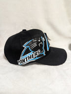 Gorra visera curva diseño NFL Carolina Panthers