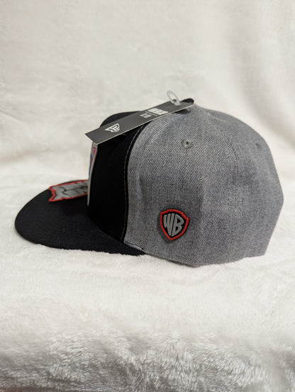 Gorra Looney Tunes | Diseño Animado Exclusivo | Visera Plana Snapback