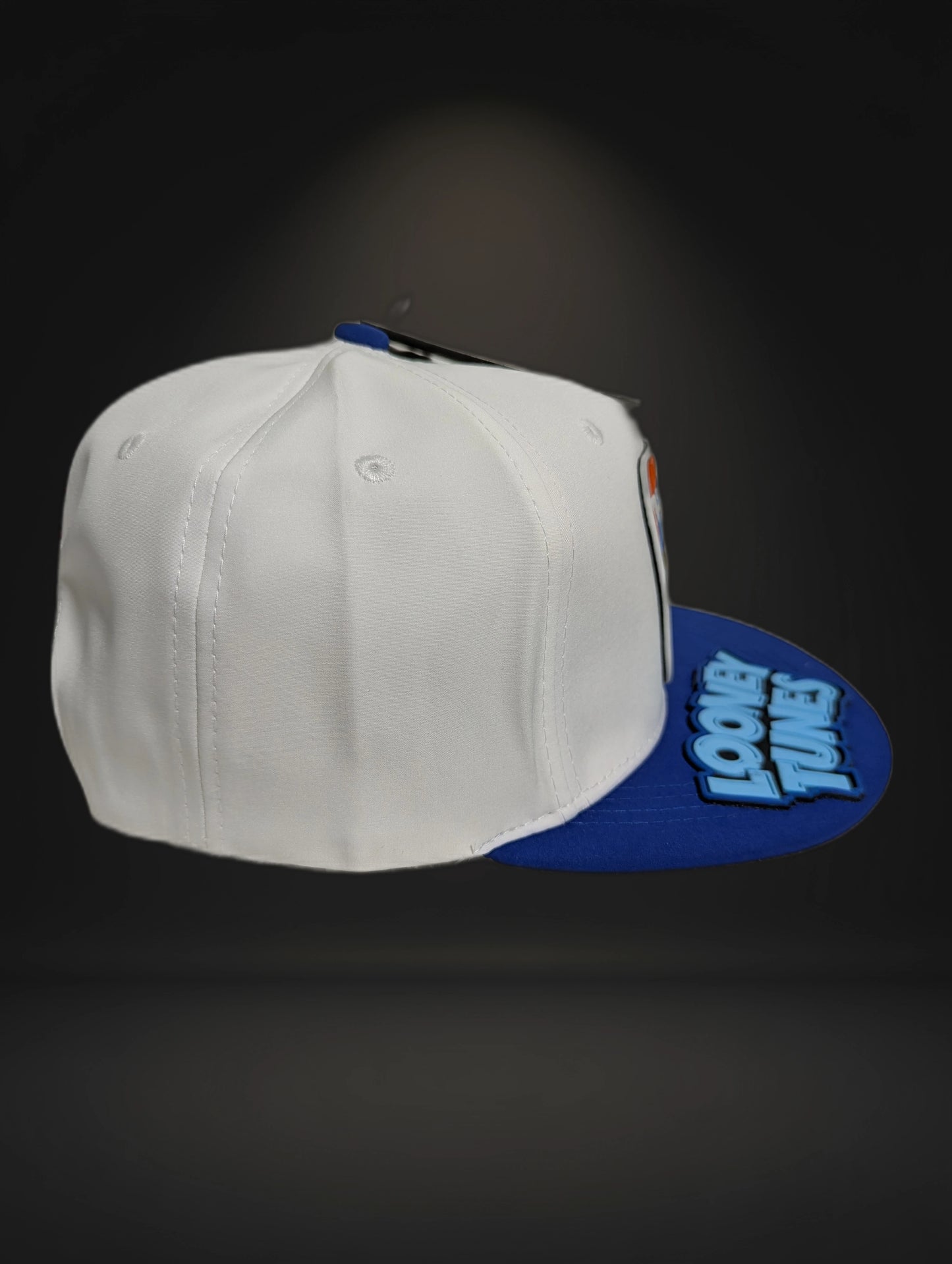 Gorra Looney Tunes | Diseño Animado Exclusivo | Visera Plana Snapback