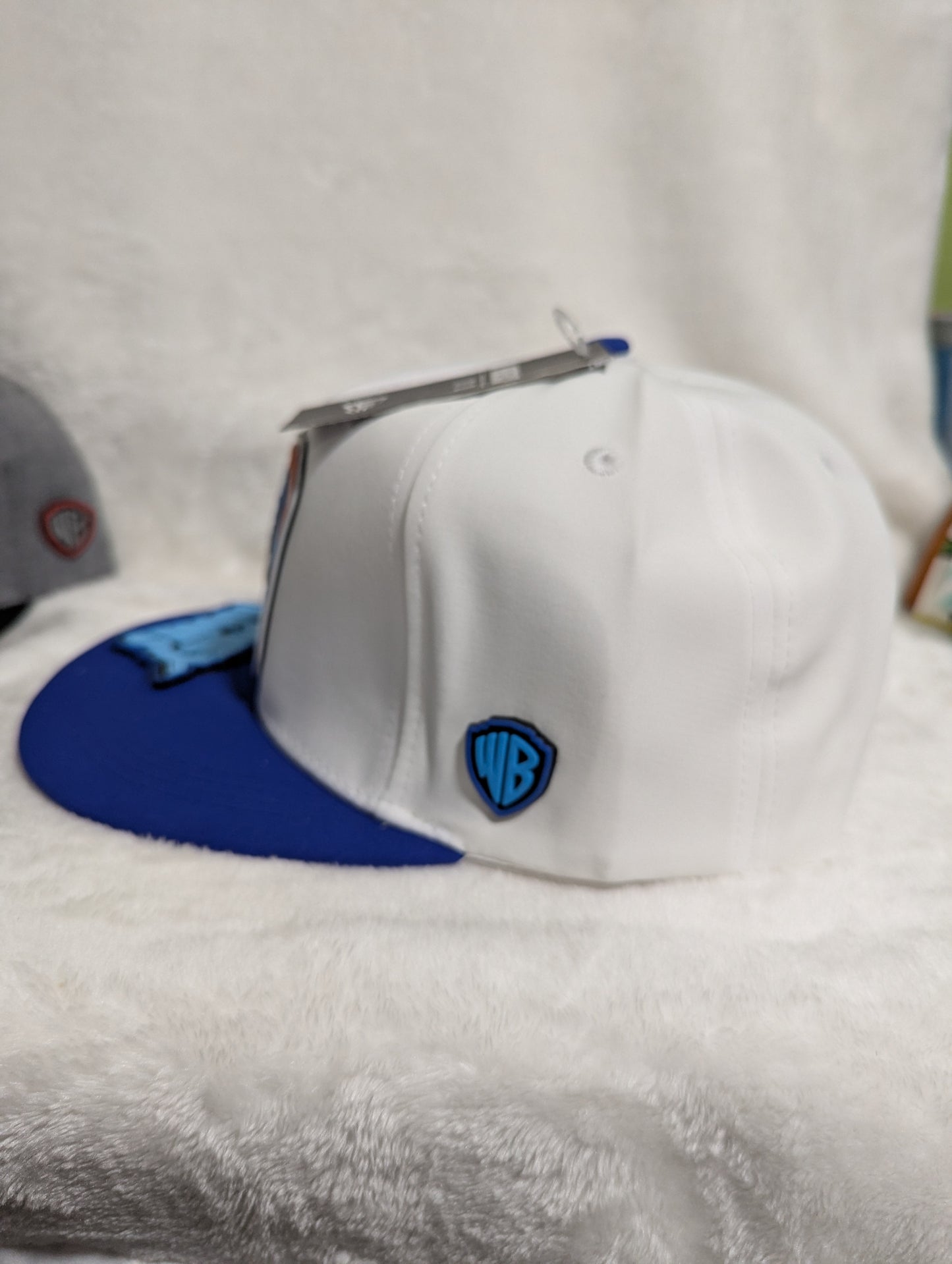 Gorra Looney Tunes | Diseño Animado Exclusivo | Visera Plana Snapback