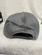 Gorra visera plana diseño WB Looney Tunes animado