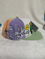 Gorra visera plana diseño WB Looney Tunes animado