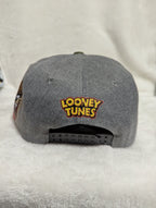 Gorra visera plana diseño WB Looney Tunes animado