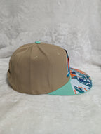 Gorra visera plana diseño NFL Miami Dolphins