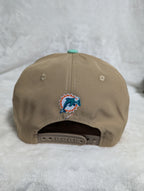 Gorra visera plana diseño NFL Miami Dolphins